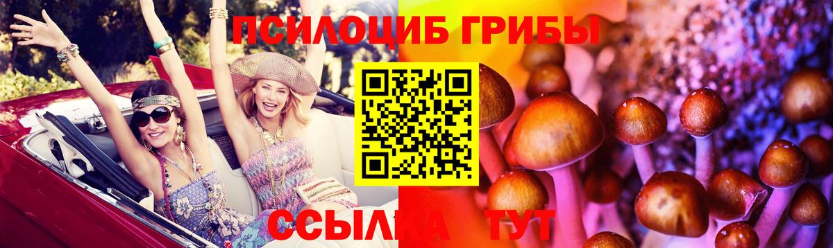 Воркута  Галлюциногенные грибы Magic Shrooms  хочу наркоту  Вход с VPN 